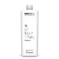 Framesi Morphosis Restructure Shampoo 250ml